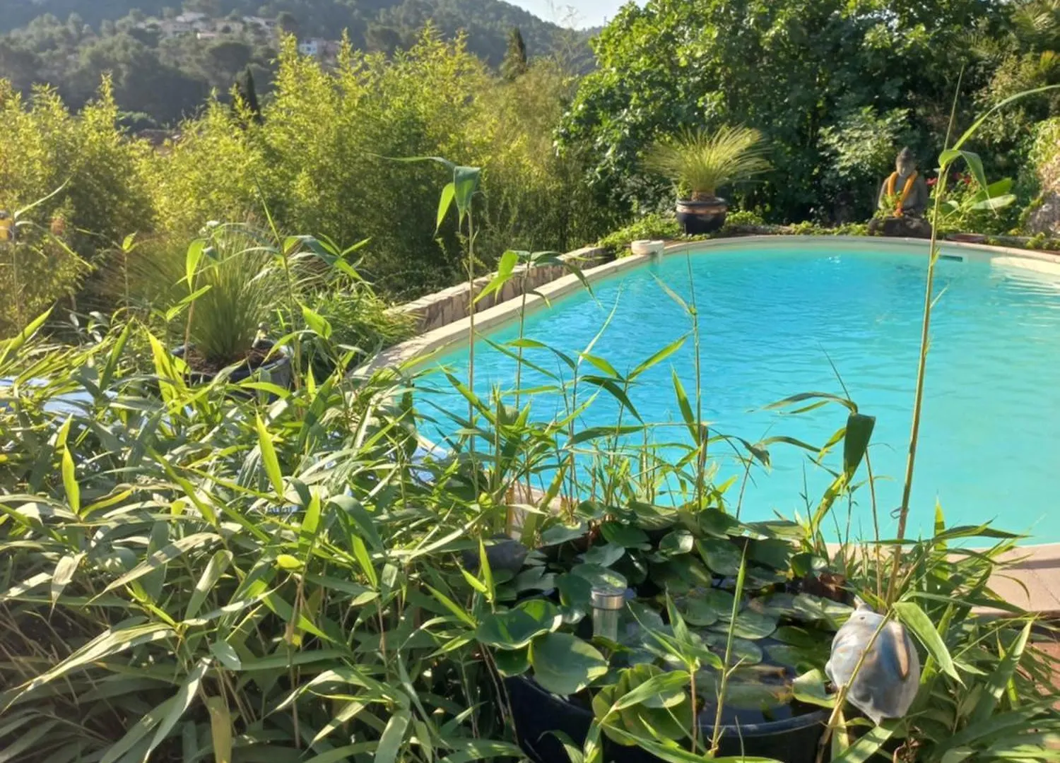 Villa Un Coin D'Asie En Provence Belgentier France